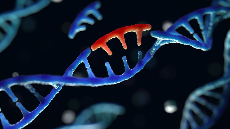 Repairing Genetic Mutation-medhealth